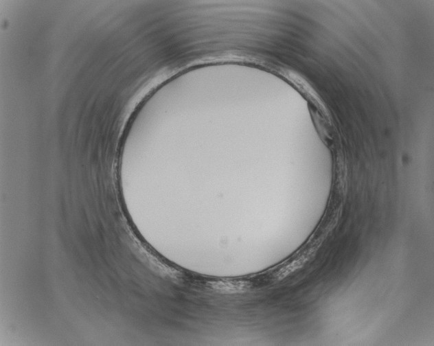 X0000066970805200604211905