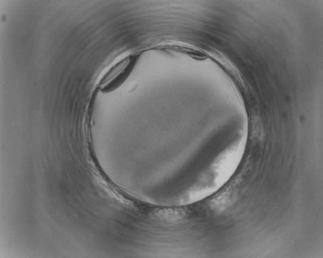 X0000066970806200604211905