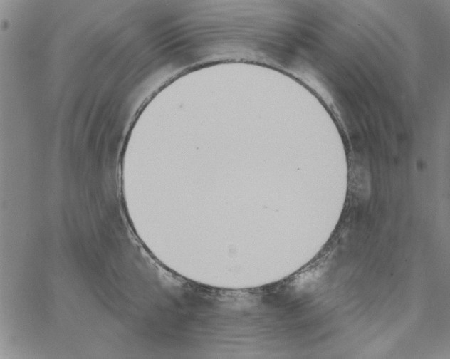 X0000066970807200604211905