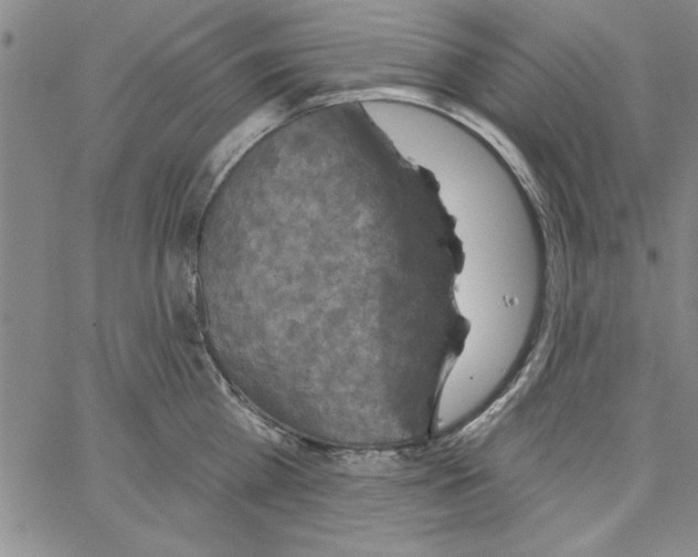 X0000066970809200604211905