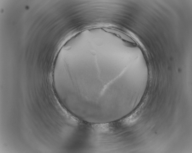 X0000066970810200604211905