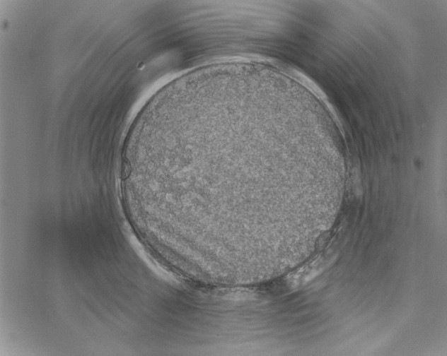 X0000066970811200604211905