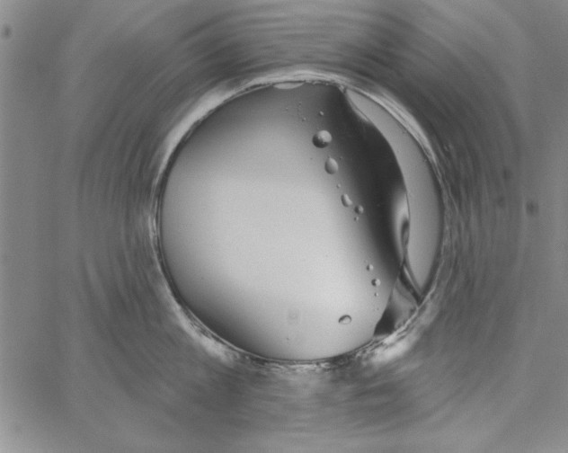 X0000066970813200604211905