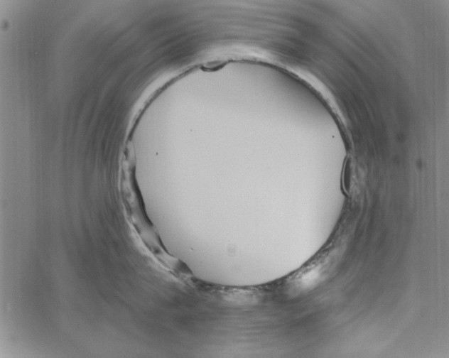 X0000066970815200604211905