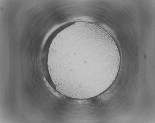 X0000066970816200604211905