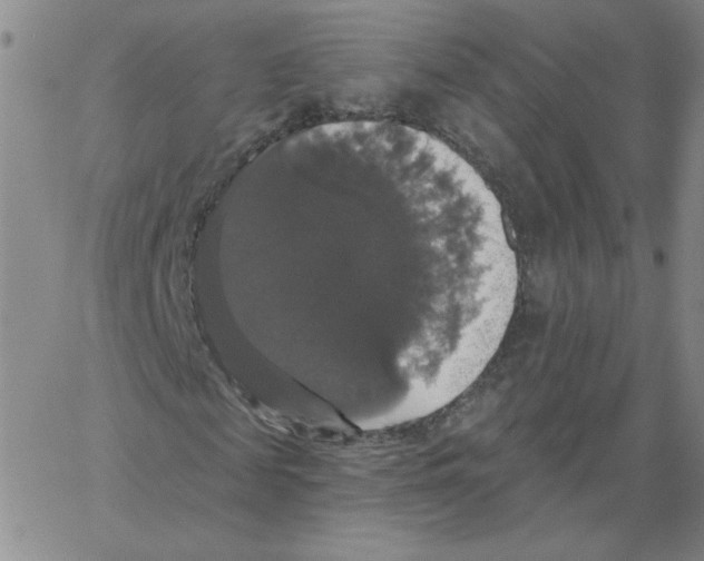 X0000066970817200604211904