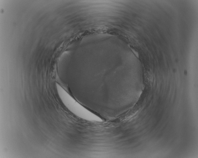 X0000066970818200604211904