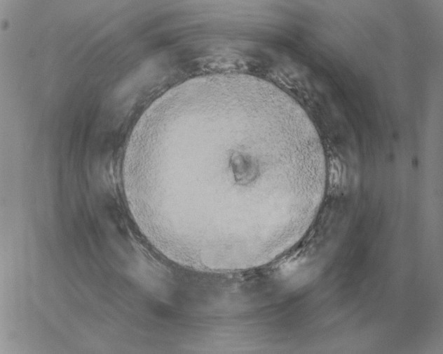 X0000066970820200604211904