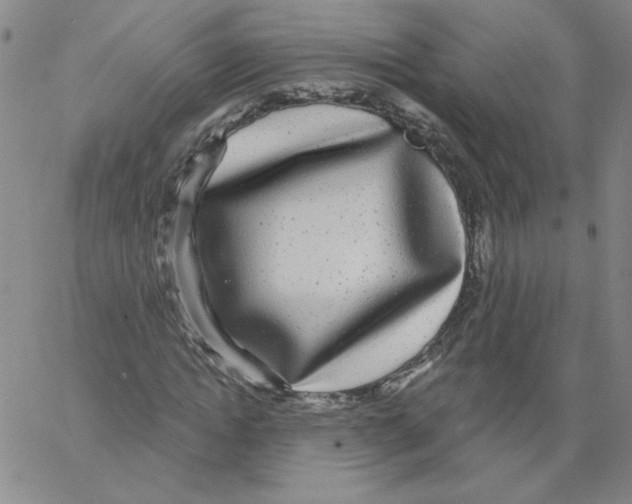 X0000066970822200604211904