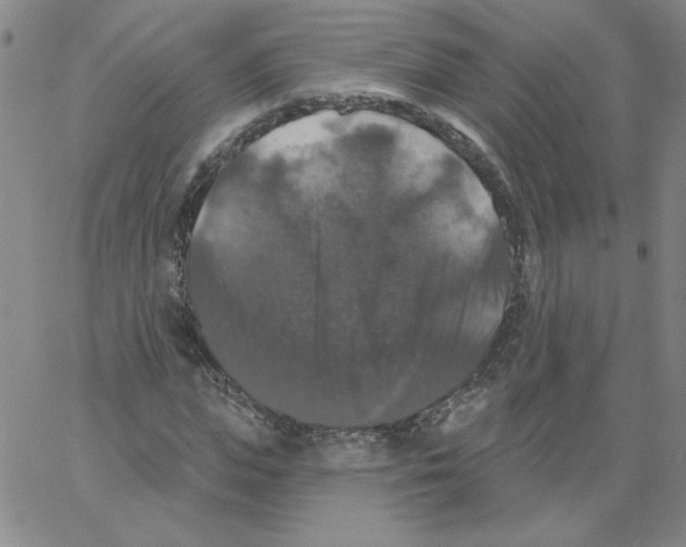 X0000066970823200604211904