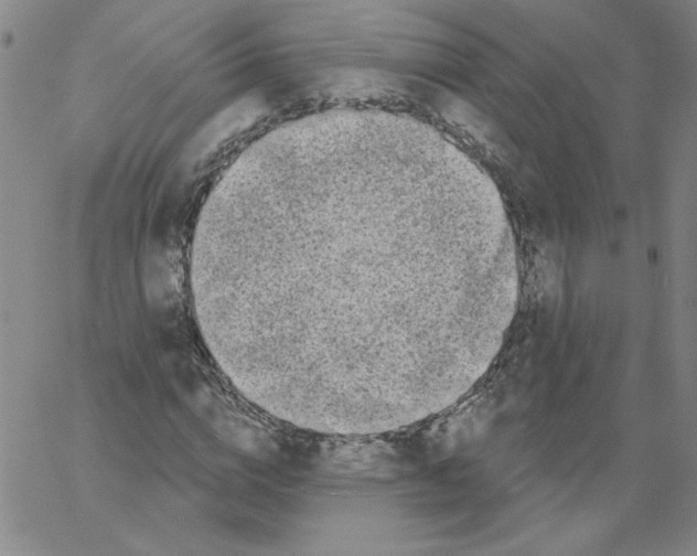 X0000066970824200604211904