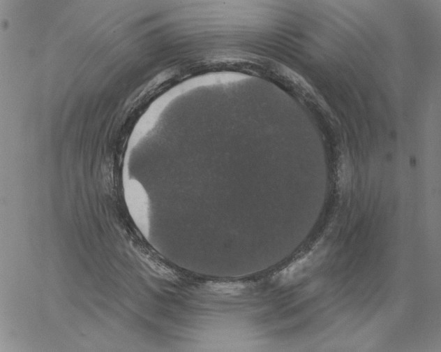 X0000066970825200604211904