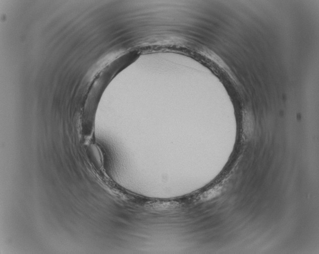 X0000066970826200604211904