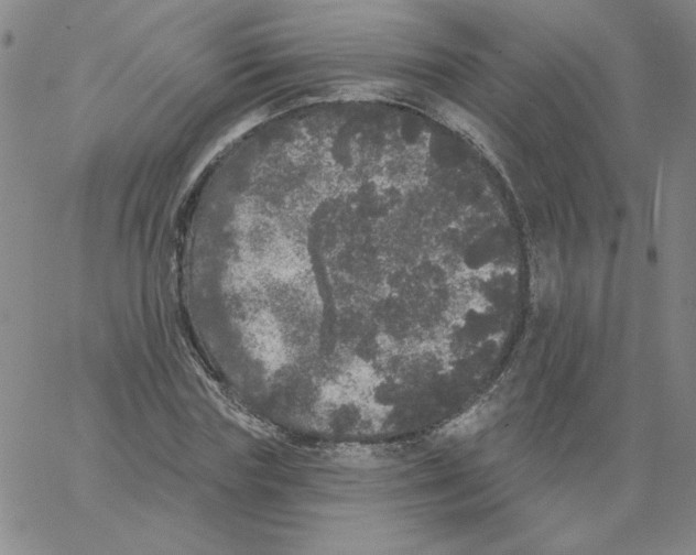 X0000066970827200604211904