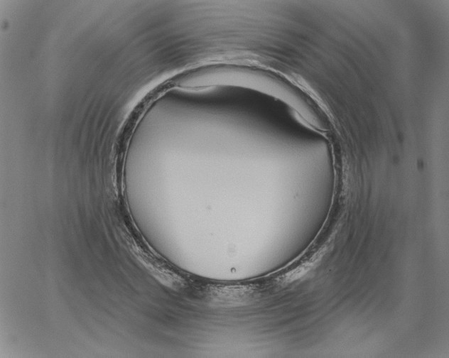 X0000066970830200604211904