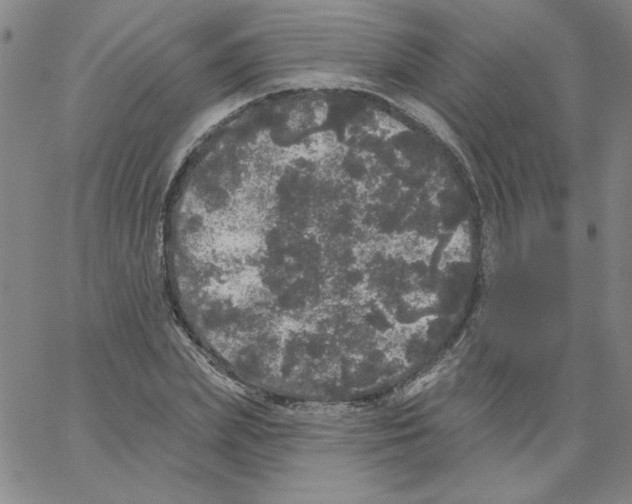 X0000066970831200604211904