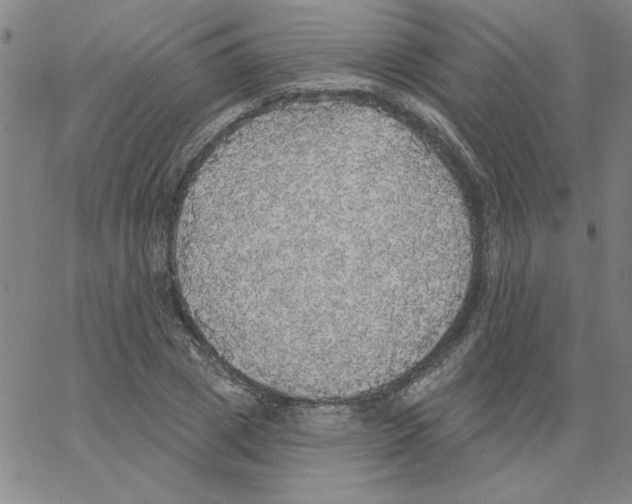 X0000066970833200604211904