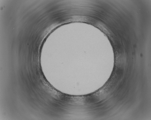 X0000066970836200604211904