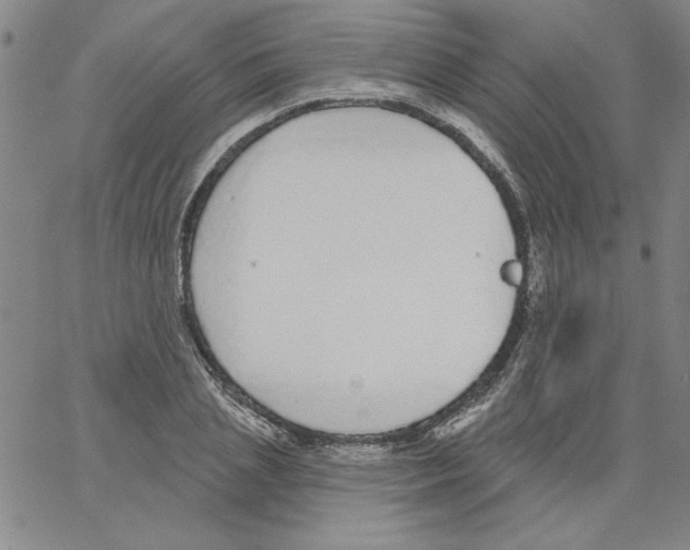 X0000066970837200604211904