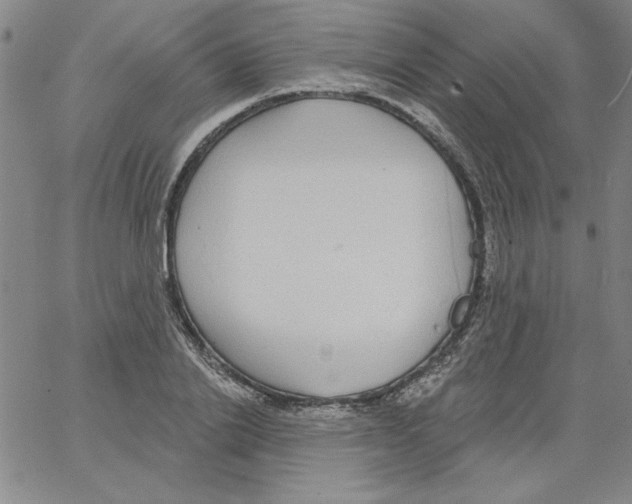 X0000066970838200604211904