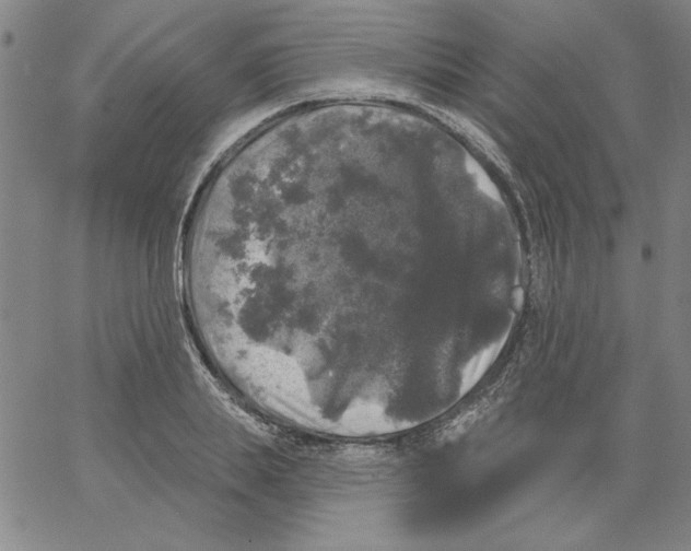 X0000066970839200604211904