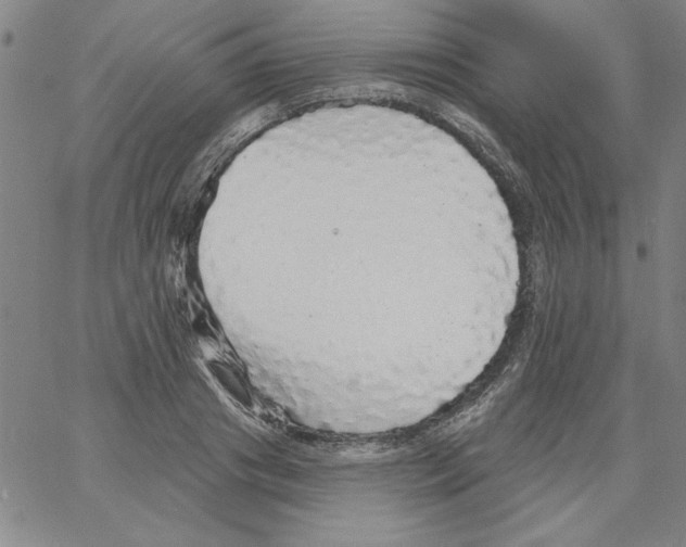 X0000066970841200604211904