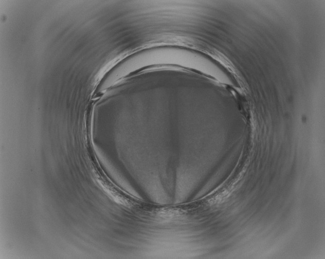 X0000066970842200604211904