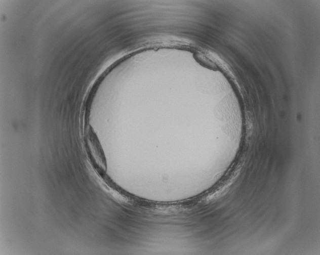 X0000066970843200604211904