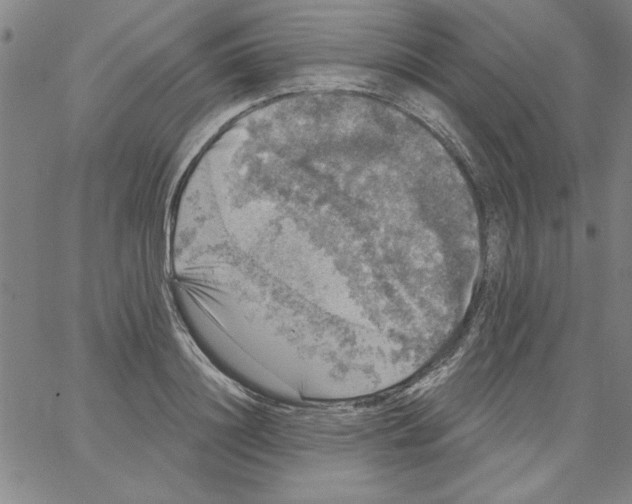 X0000066970844200604211904