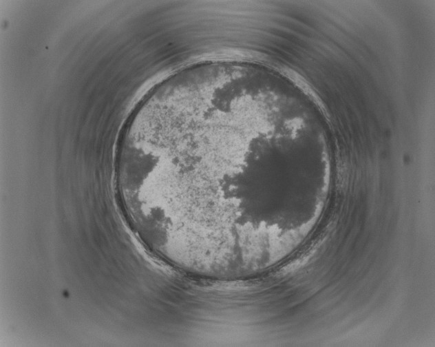 X0000066970845200604211904