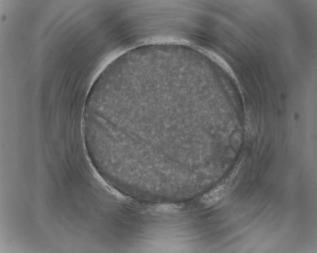 X0000066970847200604211904