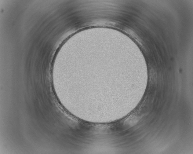 X0000066970848200604211904