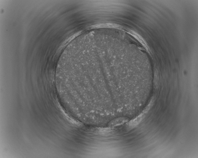 X0000066970849200604211904