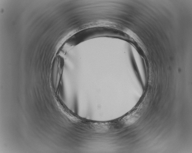 X0000066970850200604211904