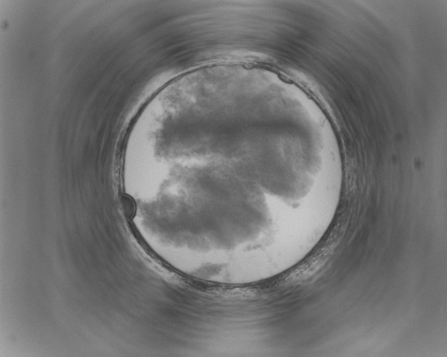 X0000066970851200604211904