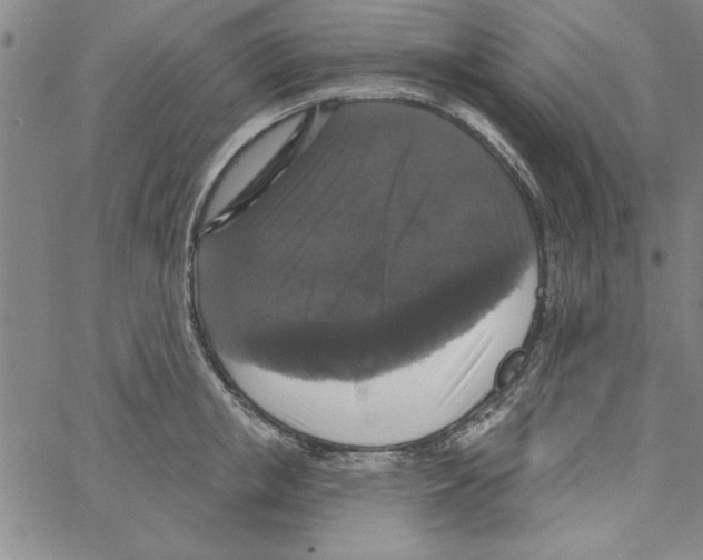 X0000066970853200604211904