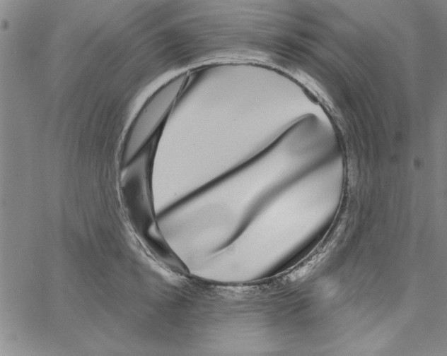 X0000066970854200604211904