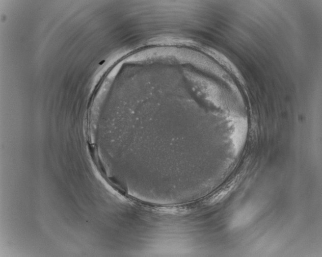 X0000066970855200604211904