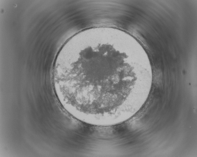 X0000066970856200604211905