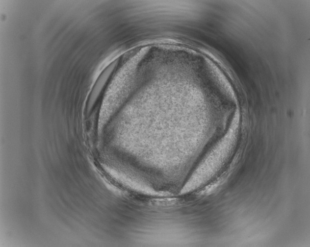 X0000066970858200604211905