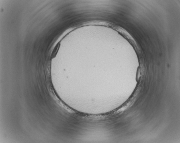 X0000066970860200604211905