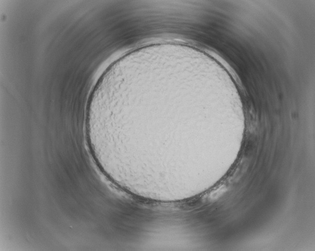 X0000066970861200604211905