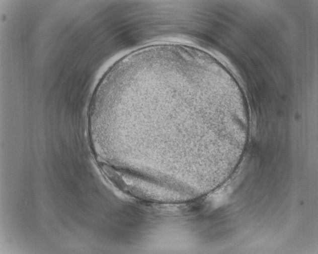 X0000066970862200604211905