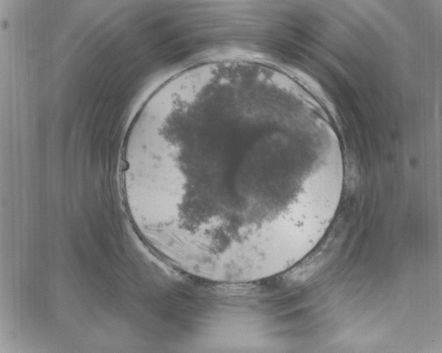 X0000066970863200604211905