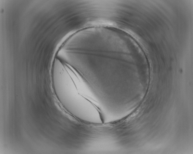 X0000066970864200604211905