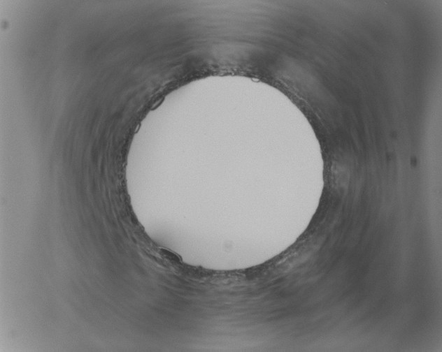 X0000066970865200604211904