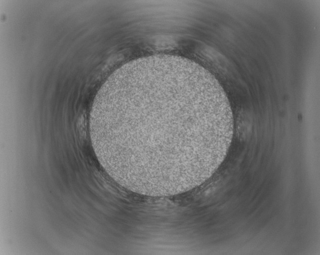 X0000066970866200604211904