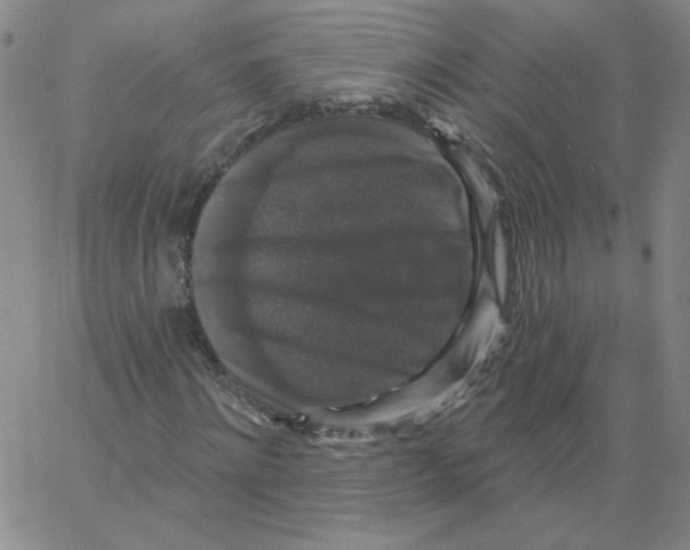 X0000066970868200604211904