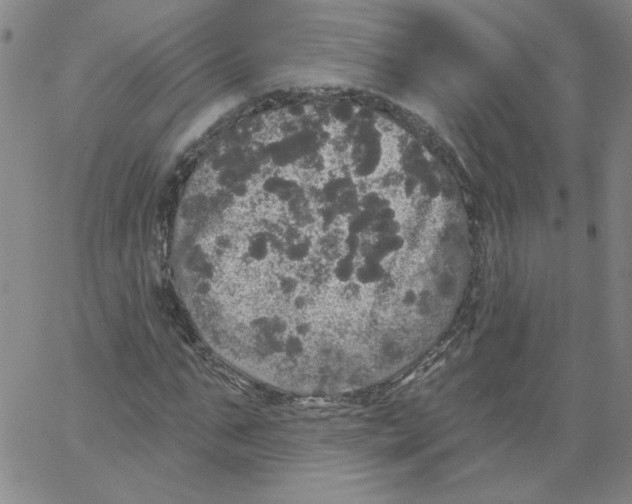 X0000066970871200604211904