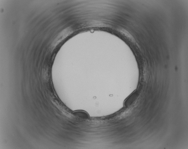 X0000066970873200604211904